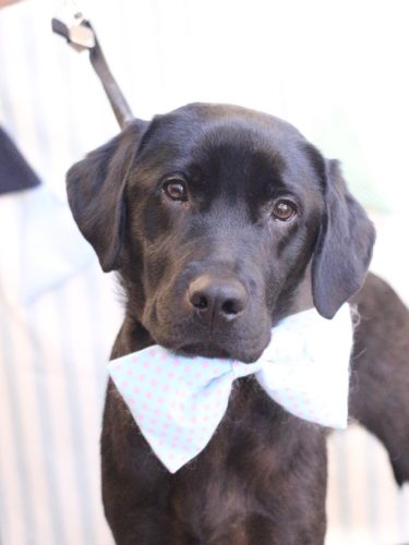 20250513文太くん